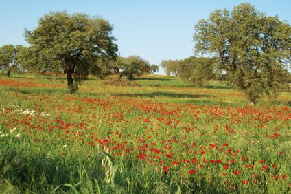 10. Bild der Unterkunft