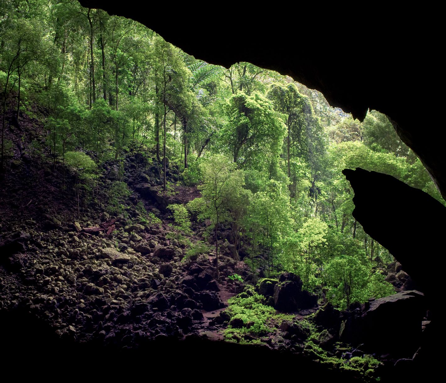 Deer Cave