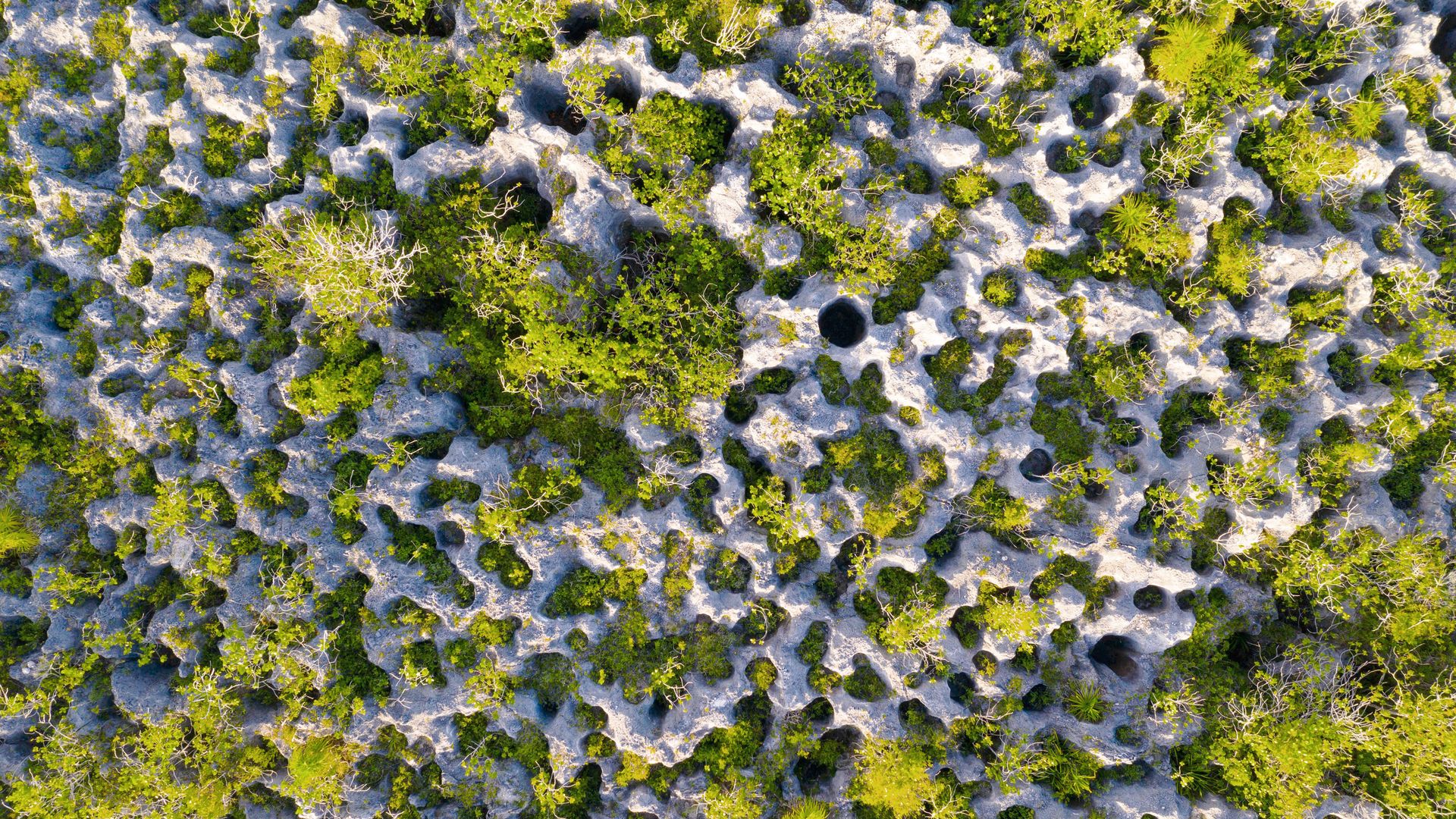 L’île corallienne époustouflante de Makatea