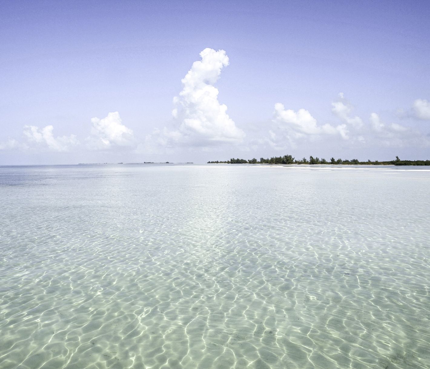 Robinson-Crusoe-Insel Cayo Iguana