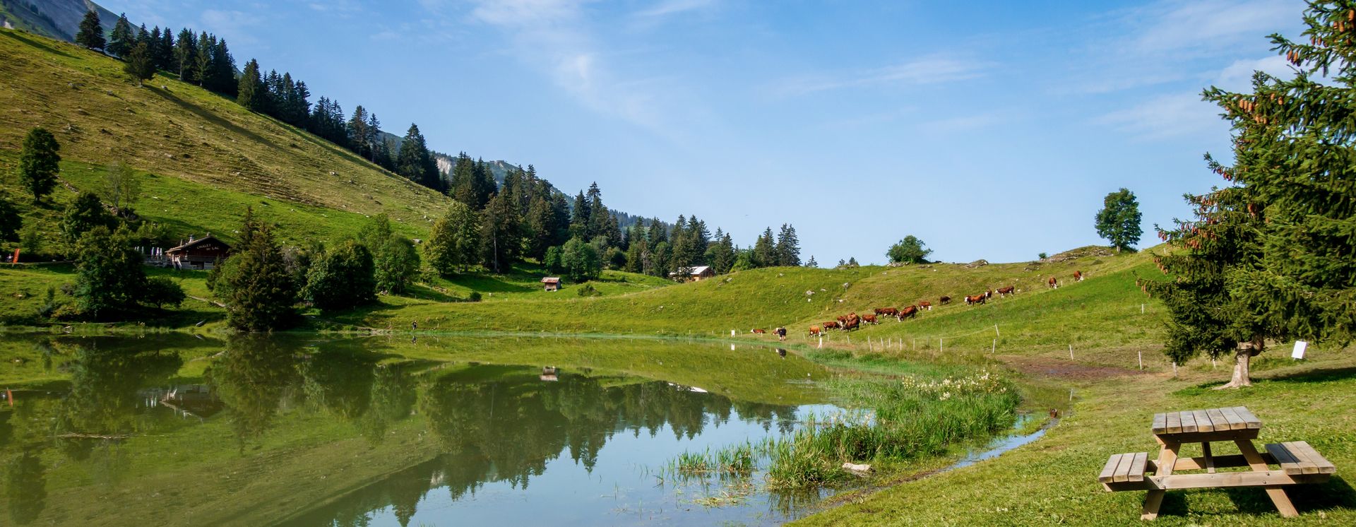 Lac des Confins et paysage de montagne
