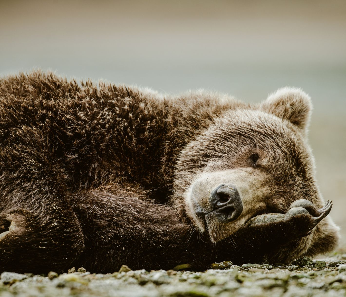 Ganz schön anstrengend