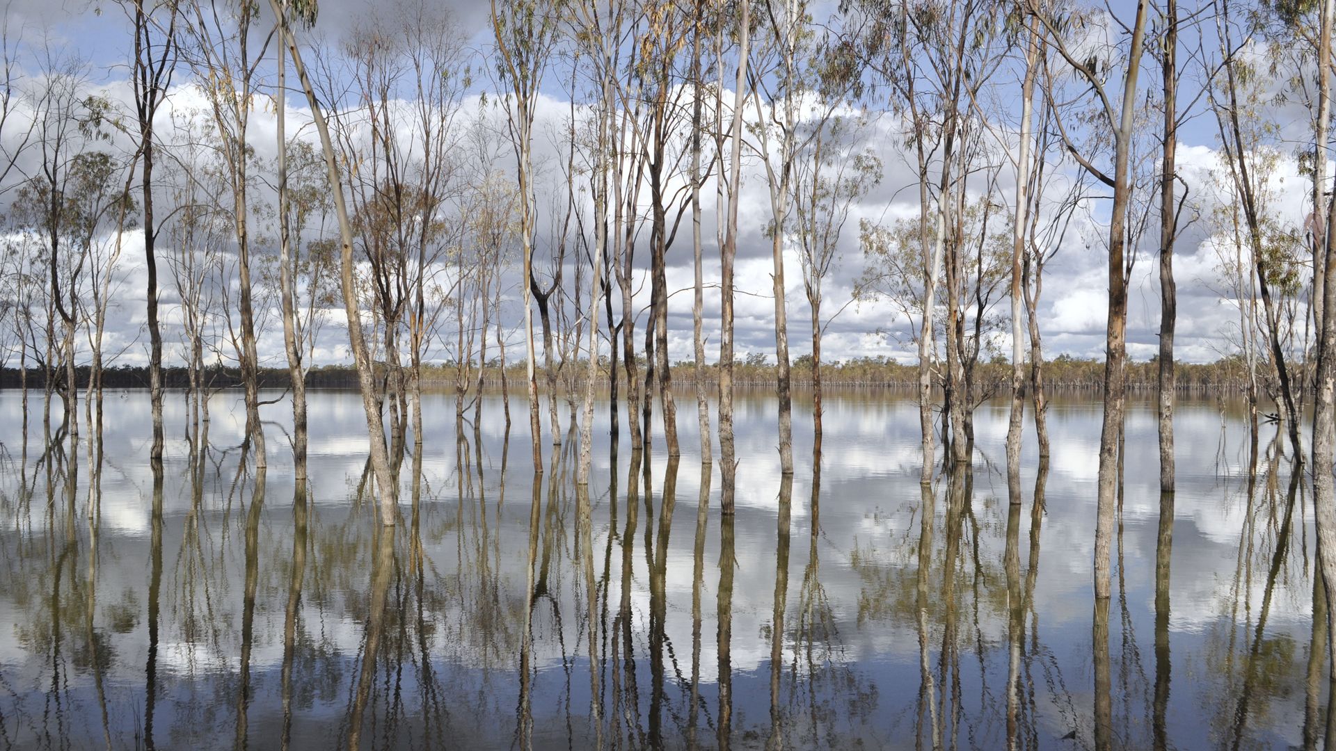 Einzigartige Landschaft