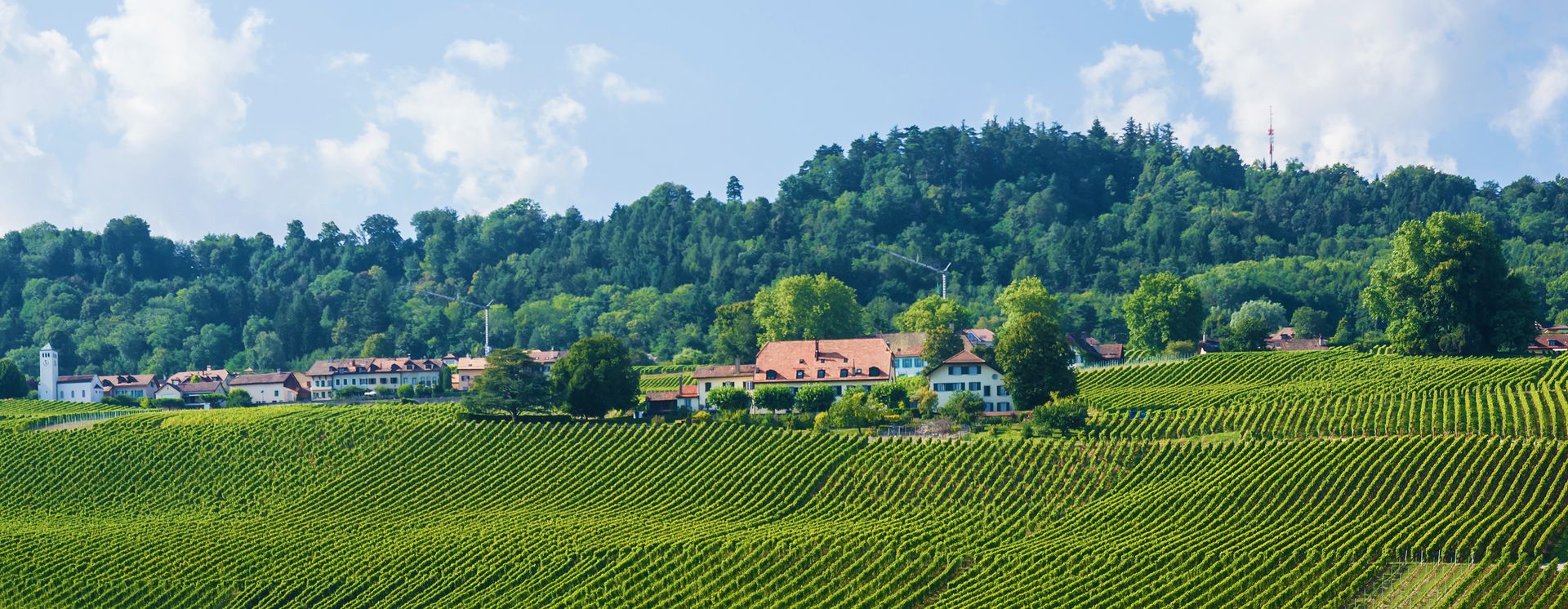 Landschaft bei Yverdon-les-Bains