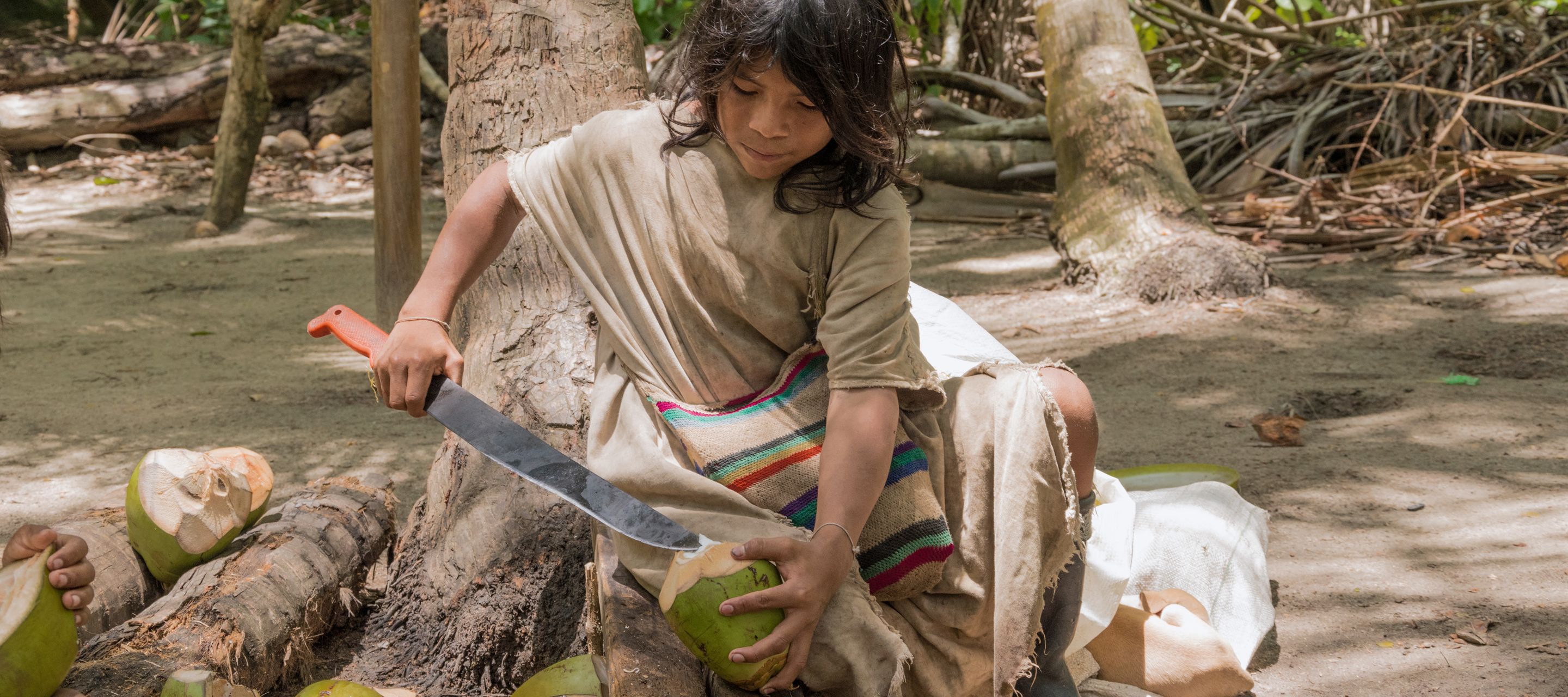 Les gardiens de l'équilibre cosmique