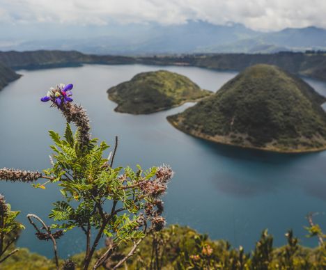 Von tiefblau bis smaragdgrün schimmernd – die Lagune Cuicocha