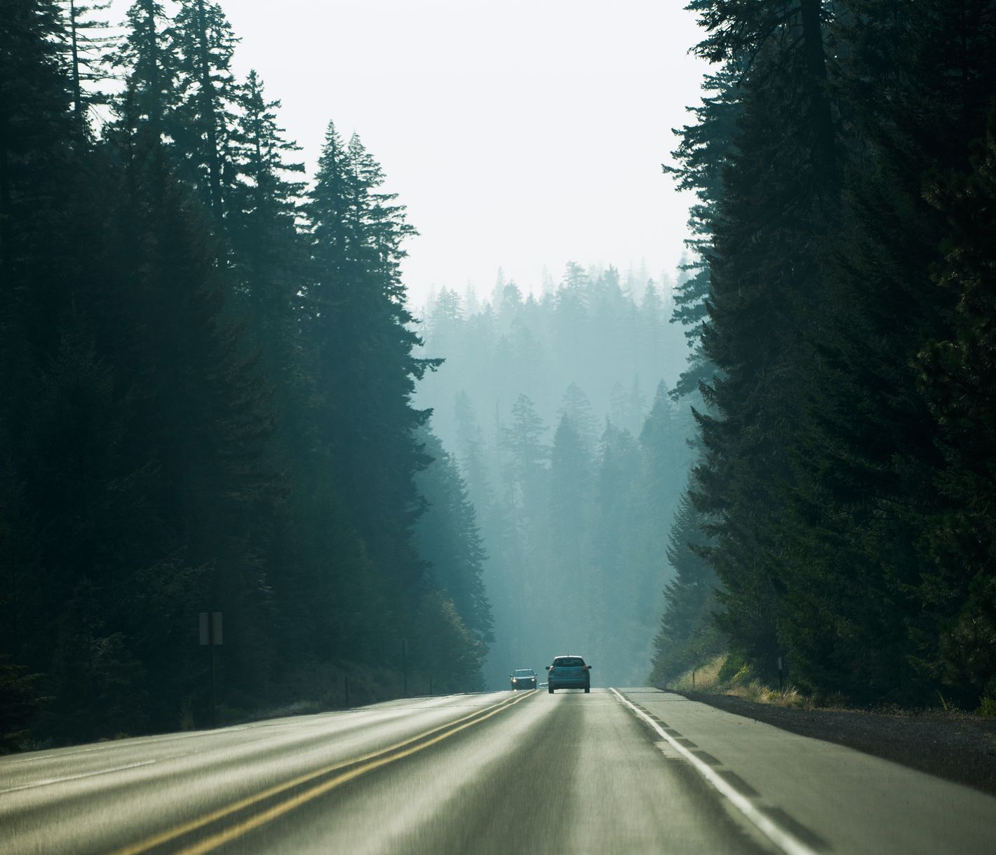 Die Gegend um Klamath Falls mit ihren endlosen Wäldern bietet viel Platz für Abenteuer jeglicher Art.