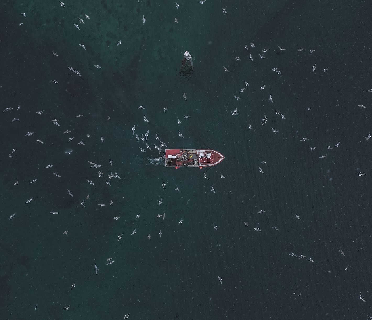 Fischerei auf den Lofoten