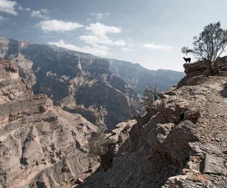 Jebel Shams, point culminant d’Oman et 3e plus grand canyon du monde