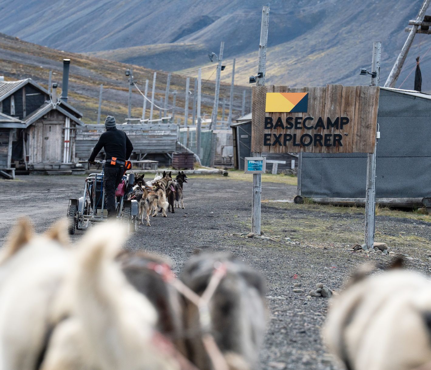 Hundeschlittentouren sind auf Spitzbergen nicht nur im Winter, sondern auch im Sommer möglich.