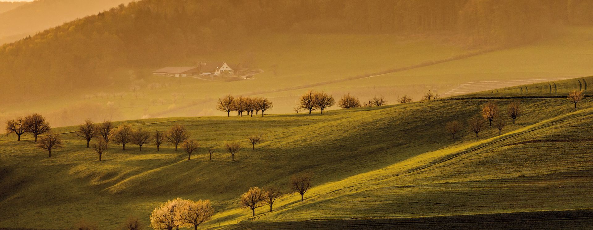 Arisdorf, Basel-Land