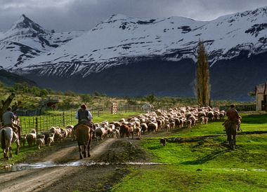 Per Du mit Gauchos auf der Schafestancia in Patagonien