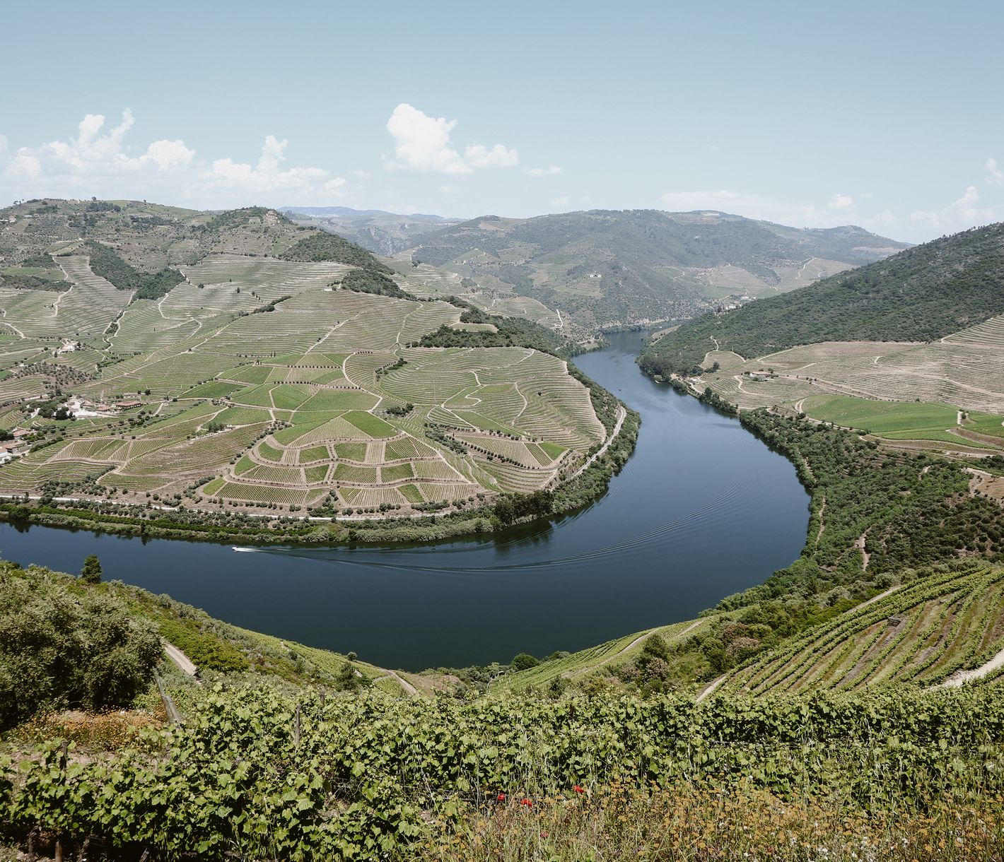 Der Douro schlängelt sich durch das Tal