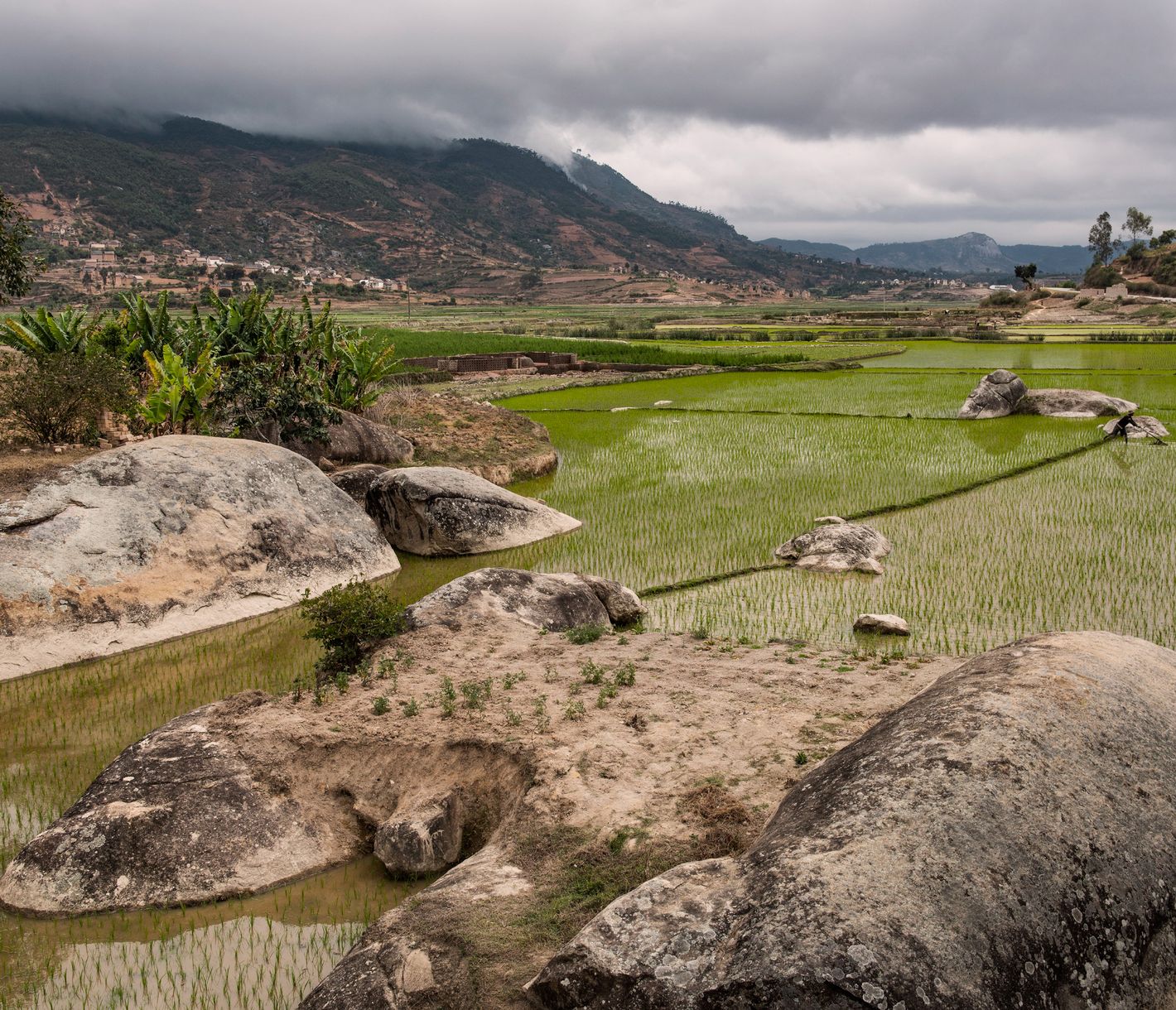Reisfelder im Hochland von Madagaskar
