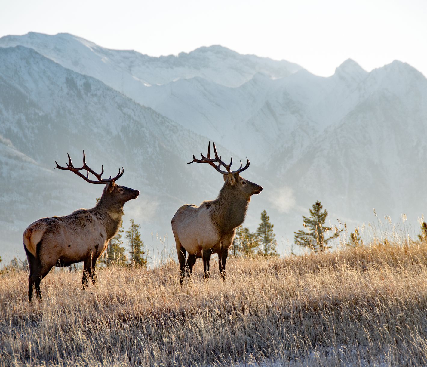 Was die zwei wohl gerade beobachten?