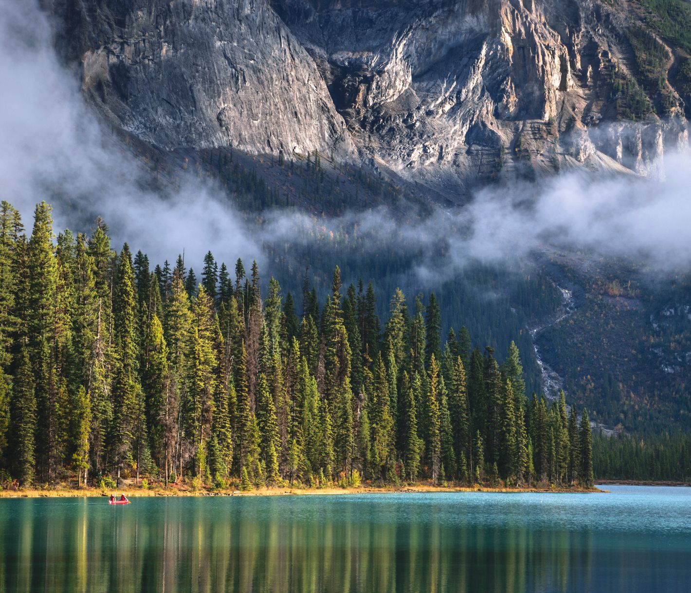 Ein echtes Prachtexemplar