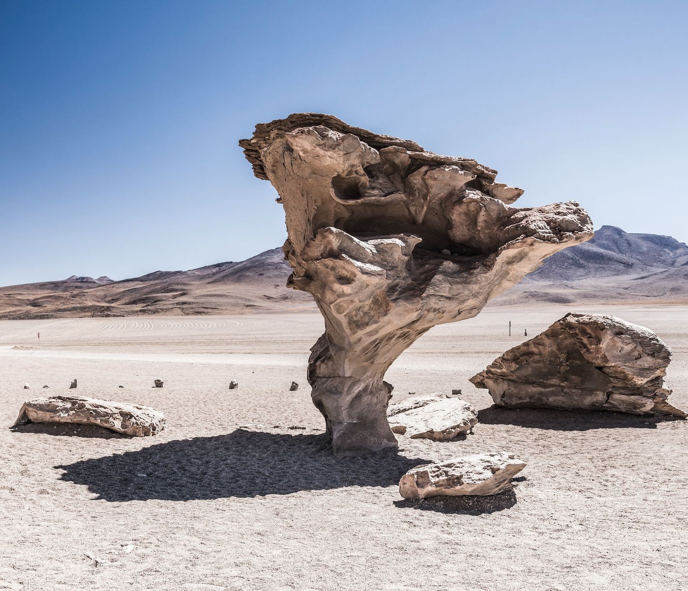 El Árbol de Piedra - der versteinerte Baum