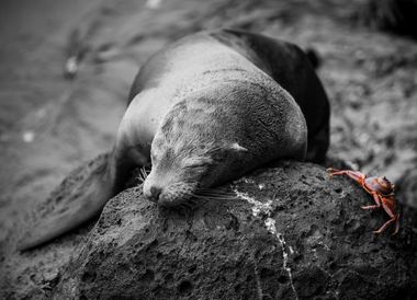 Ganz schön gemütlich