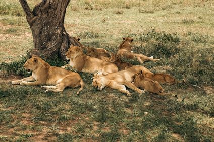 3. Bild der Rundreise