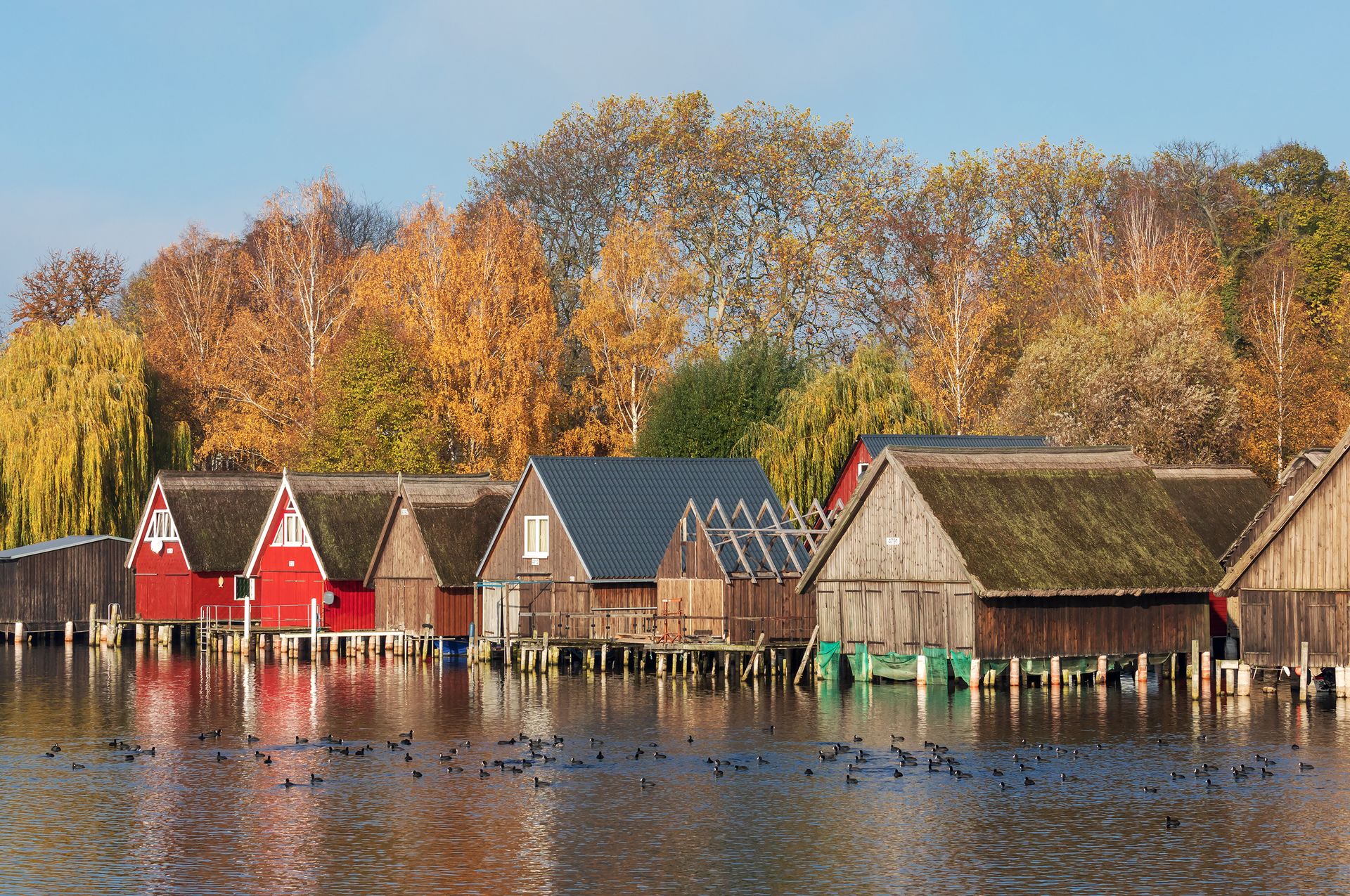 Müritz