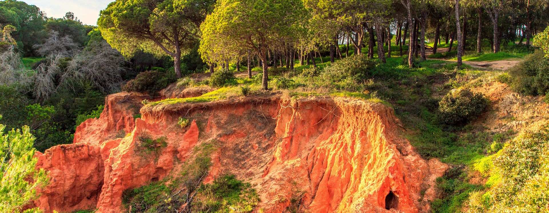 Naturpark Ria Formosa