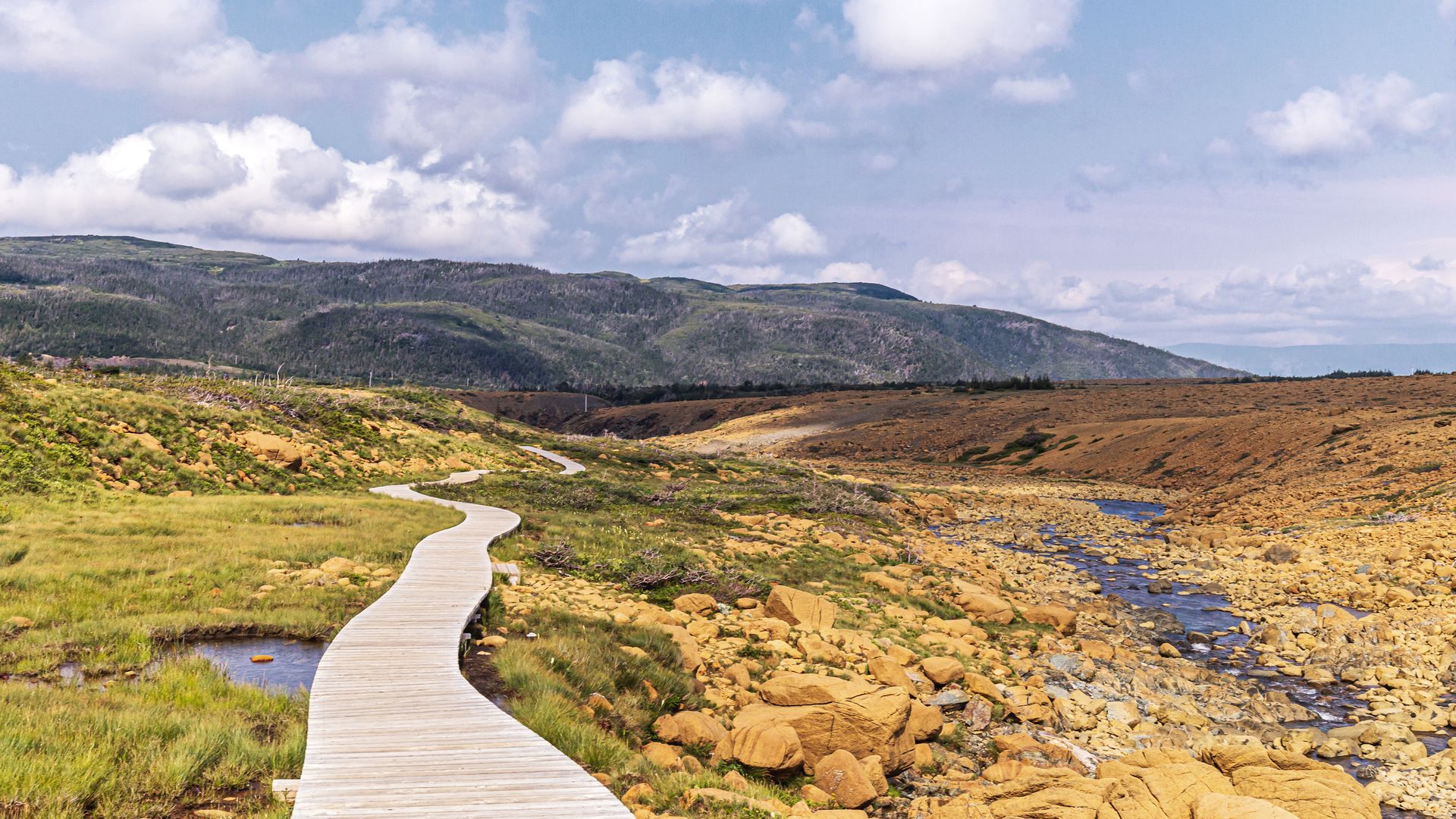 Tablelands im Gros Morne National Park