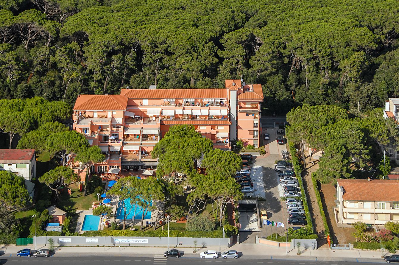 Hotel Versilia Palace