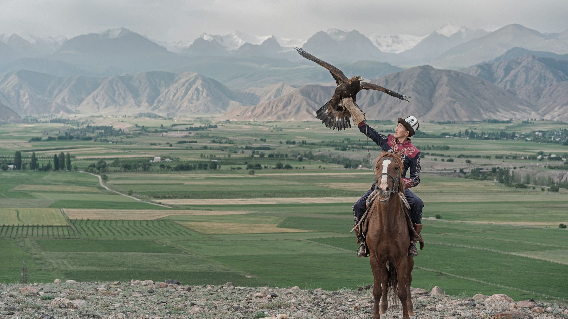 La fauconnerie, un art pratiqué depuis des siècles sur les hauts-plateaux d’Asie Centrale !