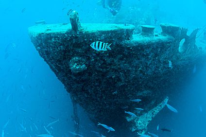 Schiffswrack bei Ras Mohammed