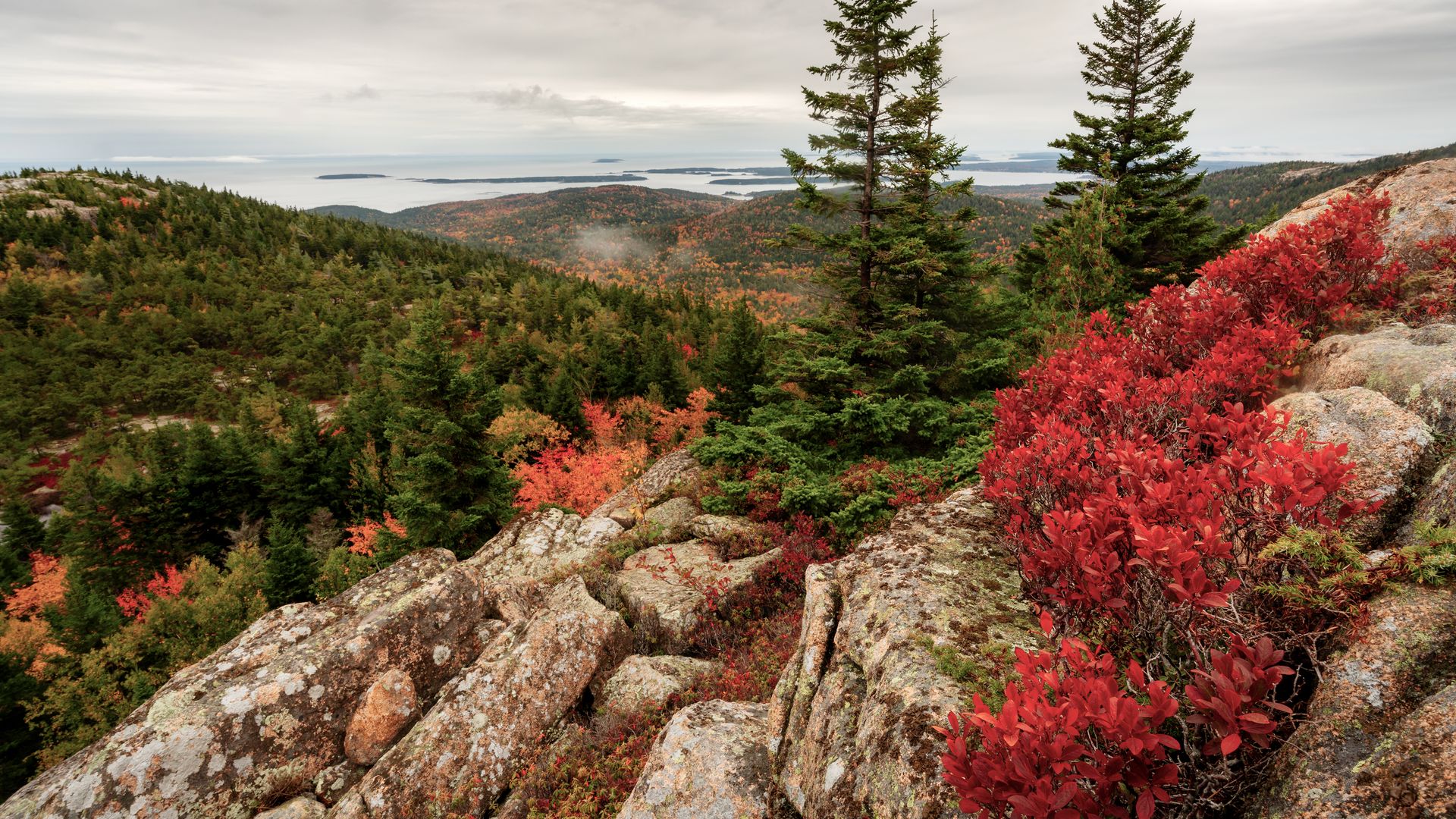 Der Acadia National Park in Maine ist ein beeindruckendes Naturparadies, das sich entlang der felsigen Küste erstreckt und malerische Ausblicke, dichte Wälder und wunderschöne Berglandschaften bietet.
