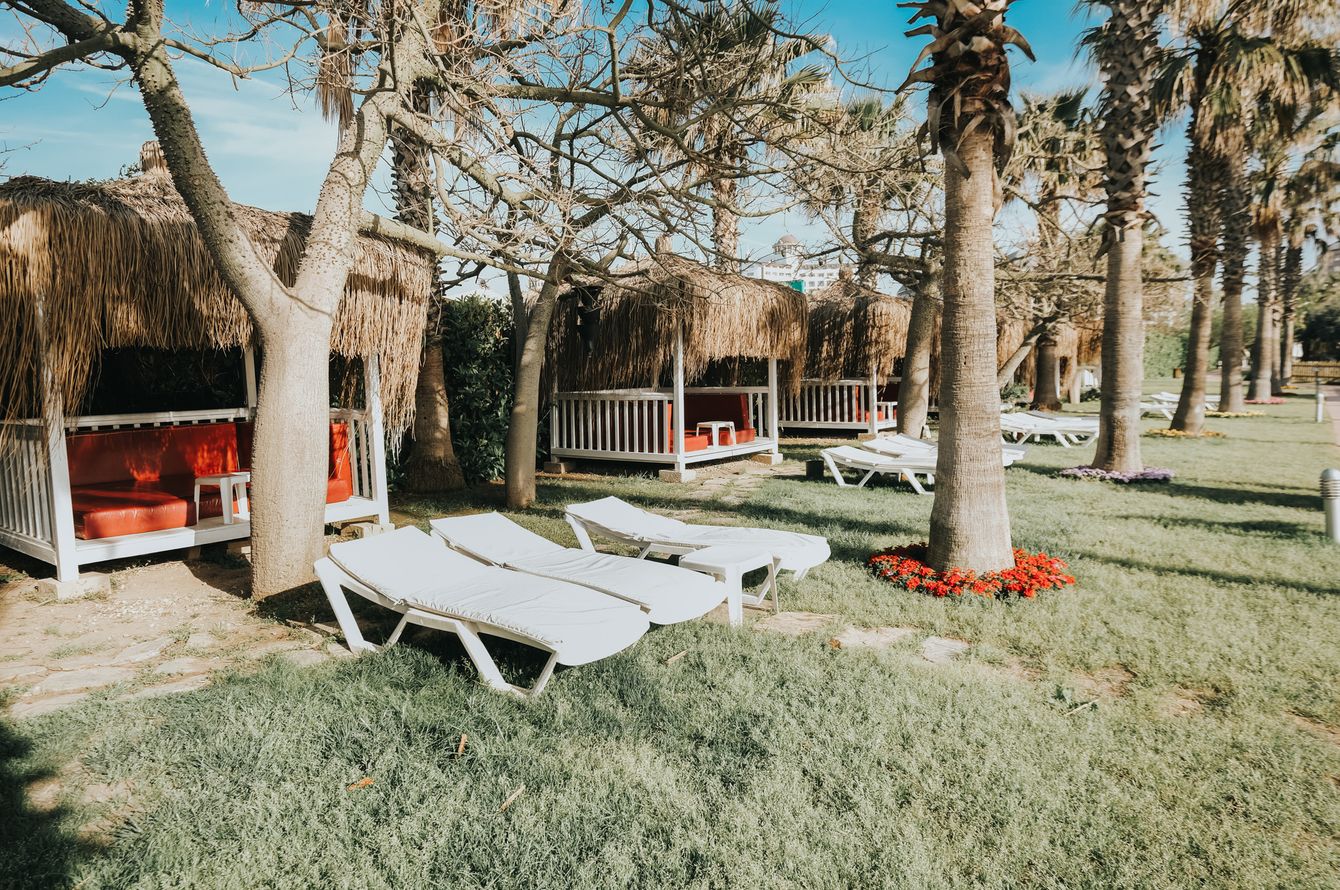 Jardin