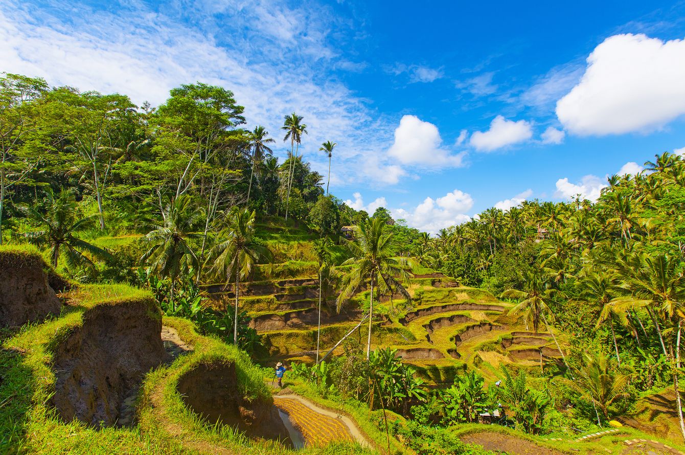 Tegalalang