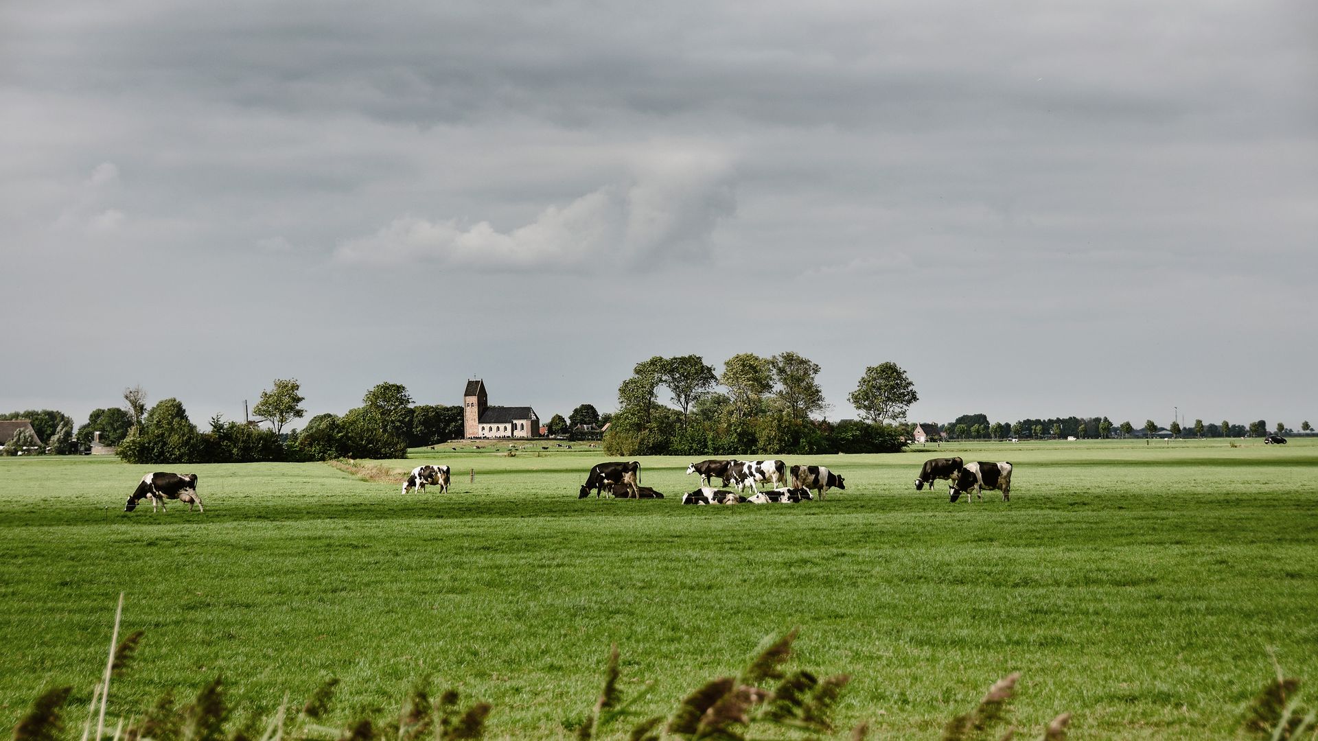 Idylle pur im Friesland