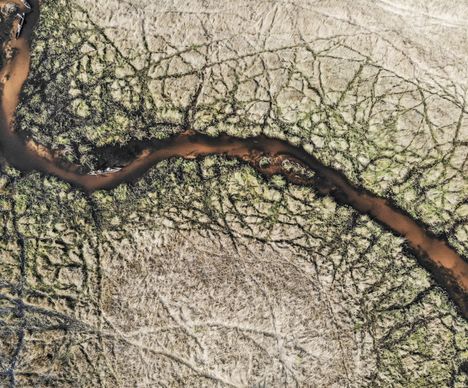 Vue aérienne du delta de l'Okavango en mokoro