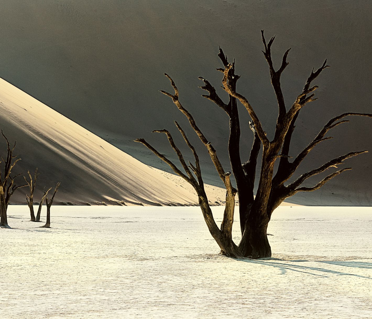 Les arbres morts dans Deadvlei à Sossusvlei offrent des images impressionnantes.