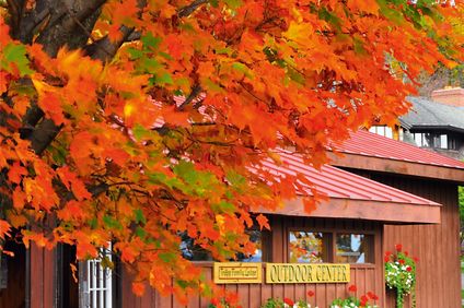 8. Bild der Unterkunft