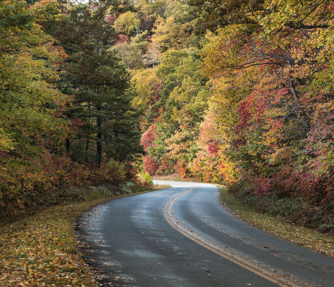 Der Blue Ridge Parkway, eine traumhafte Panoramastrasse.