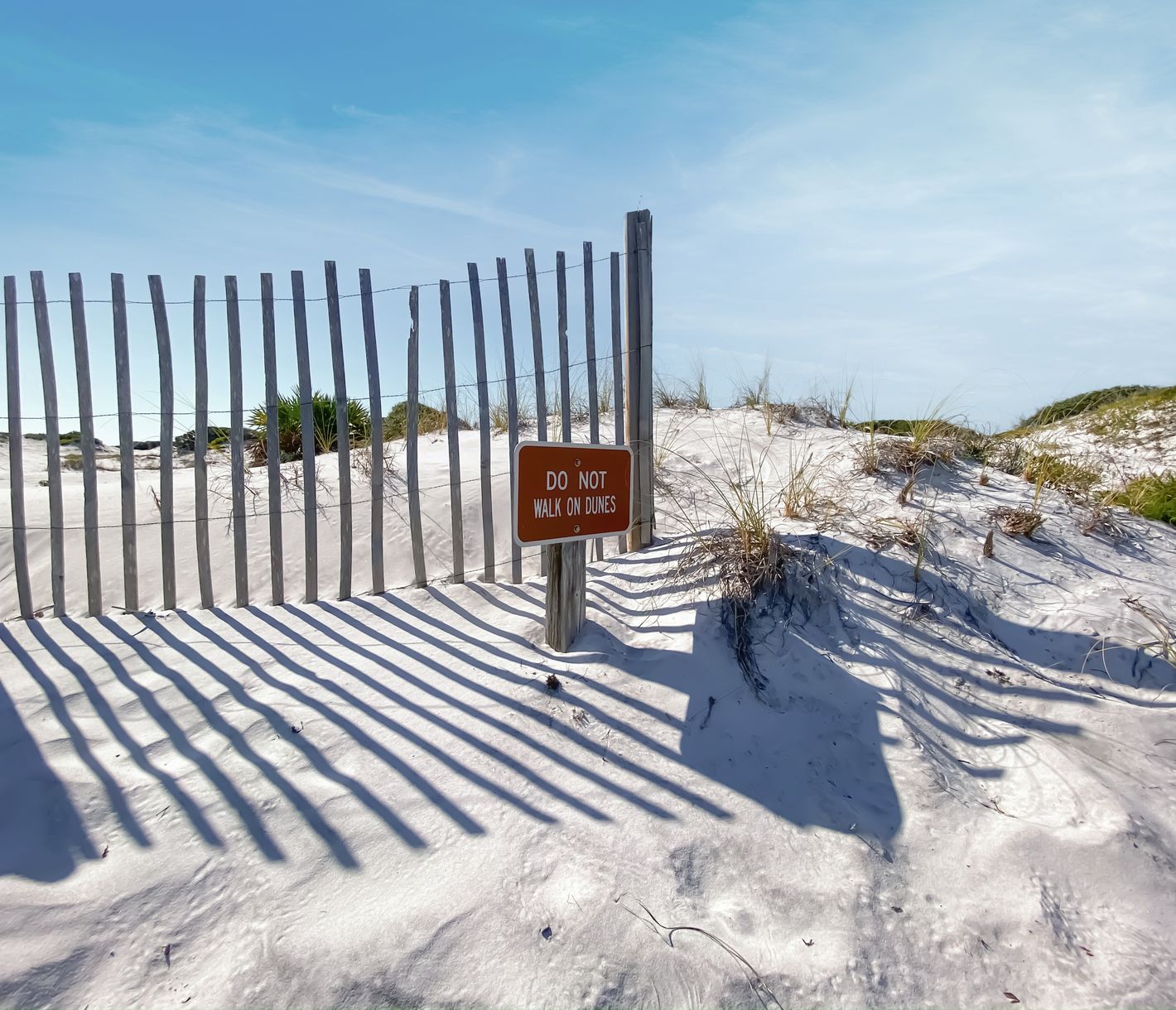 Weisse Sanddünen im Grayton Beach State Park