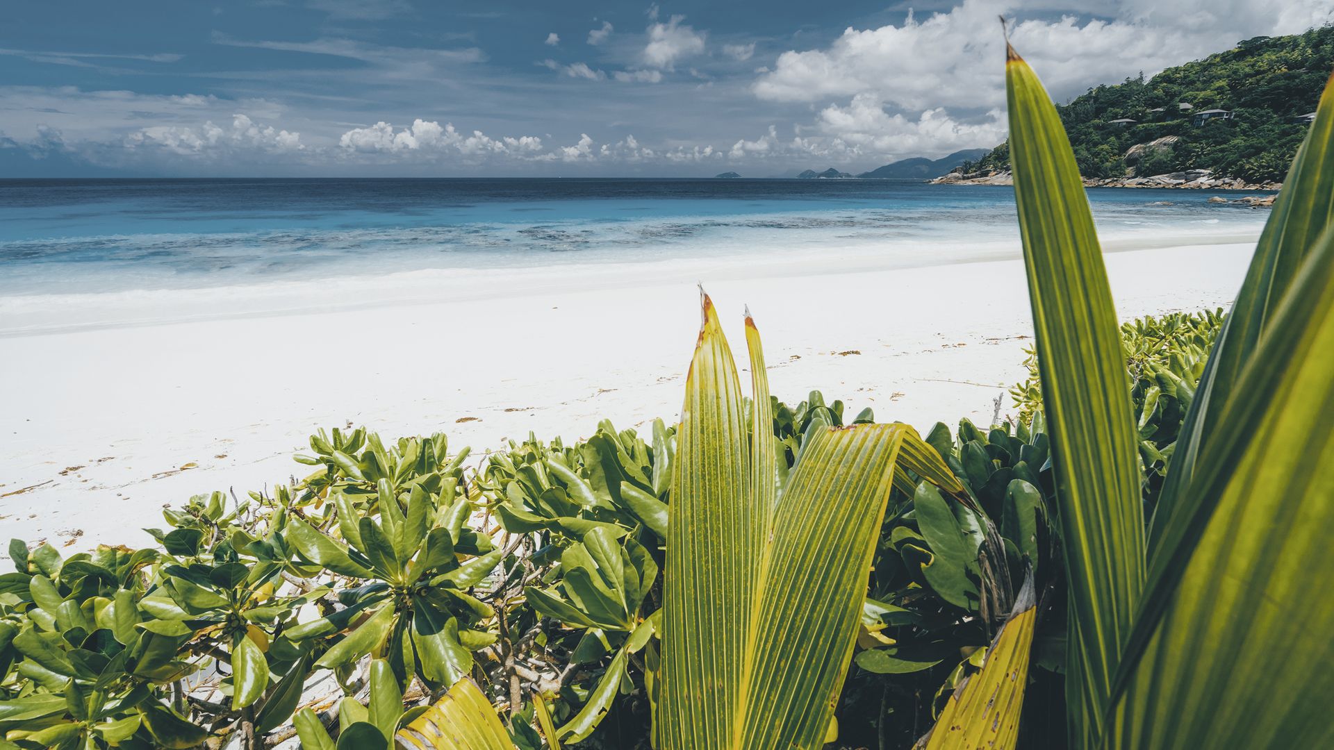 L’Anse Intendance, comme un air de paradis.