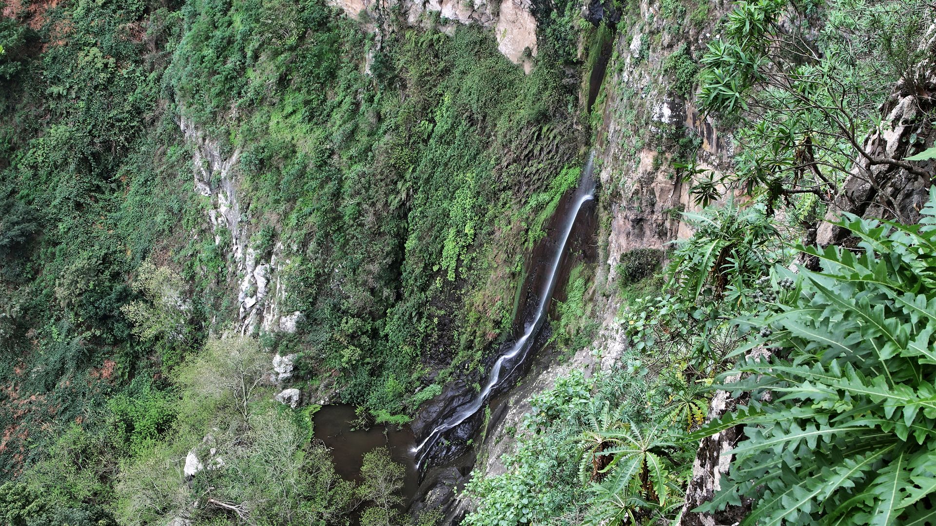 El Cedro auf La Gomera ist ein Naturparadies.