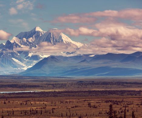 Blick auf den Mount Denali