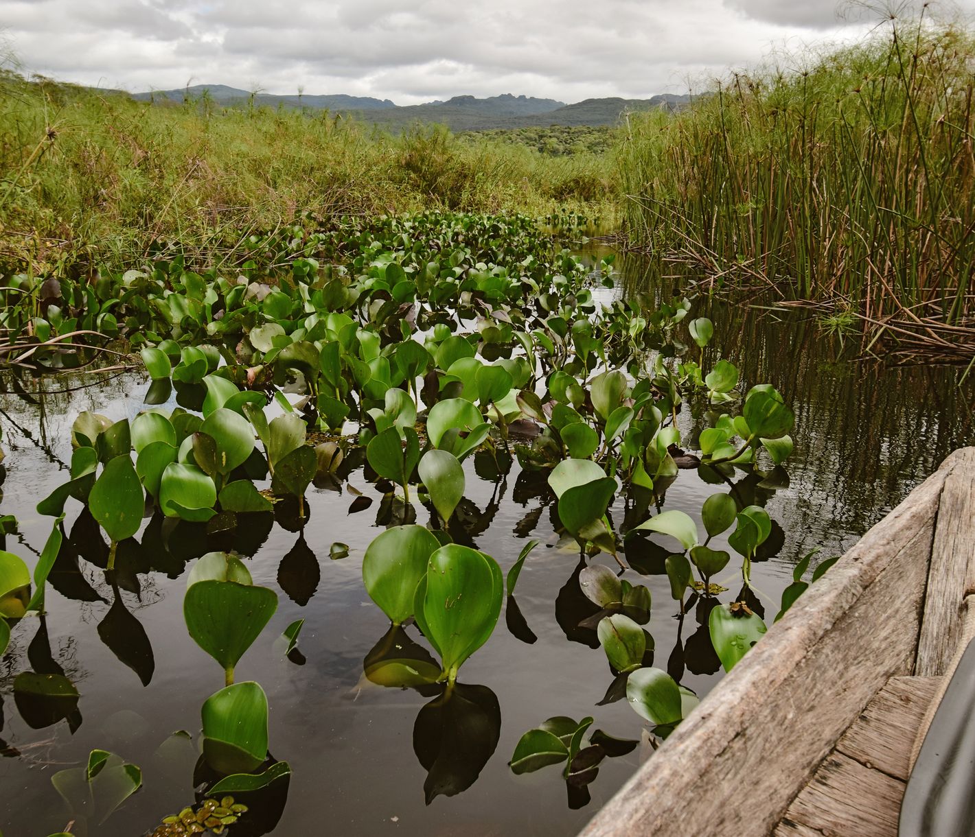 Auf Entdeckungstour per Boot durch Marimbus, das Mini-Pantanal der Chapada Diamantina
