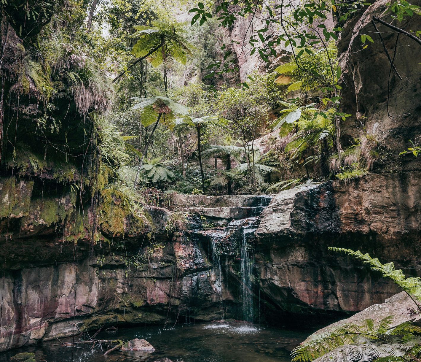 Carnarvon National Park