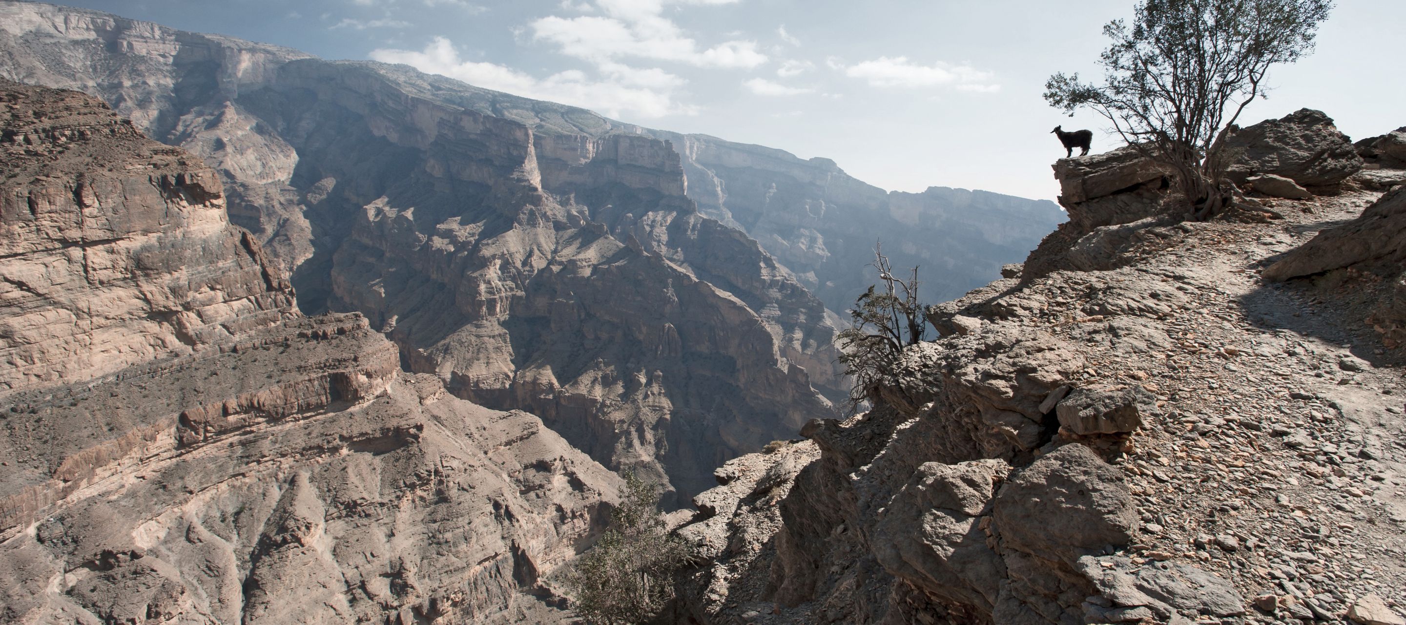 Jebel Shams, point culminant d’Oman et 3e plus grand canyon du monde