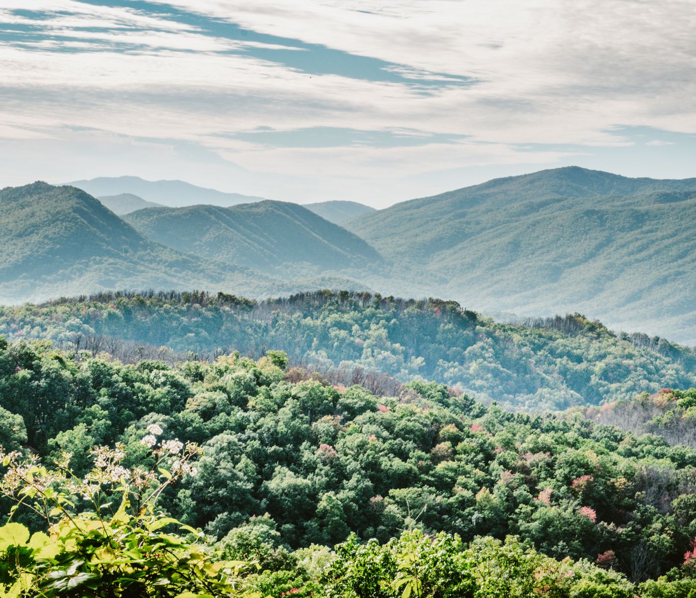 Der Great Smoky Mountains National Park ist der beliebteste Nationalpark der USA.