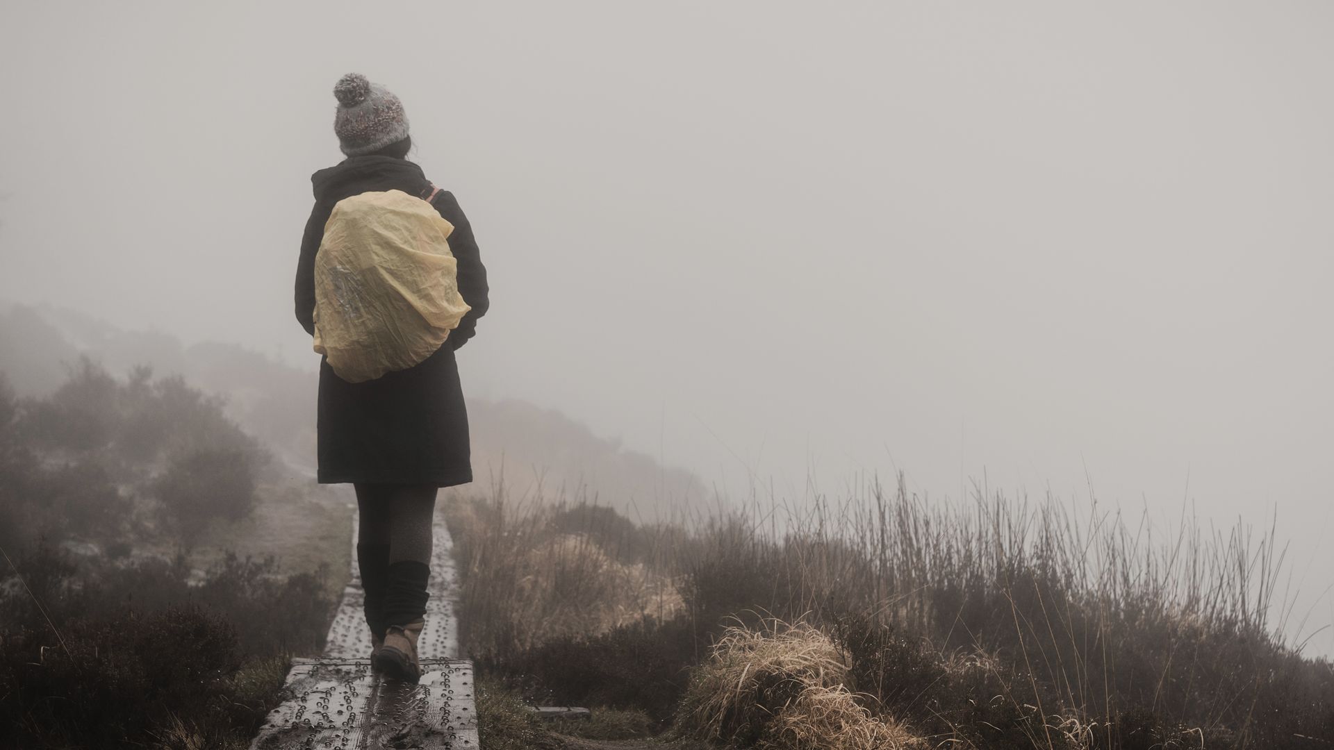 Die Kapriolen des Wetters
