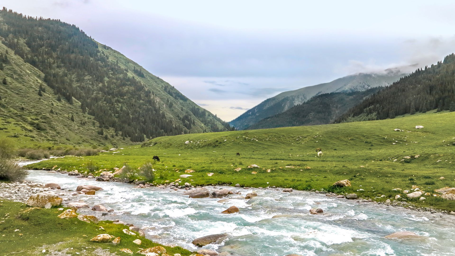 Plongez au cœur de la nature sauvage kirghize dans les gorges de Grigorievka.