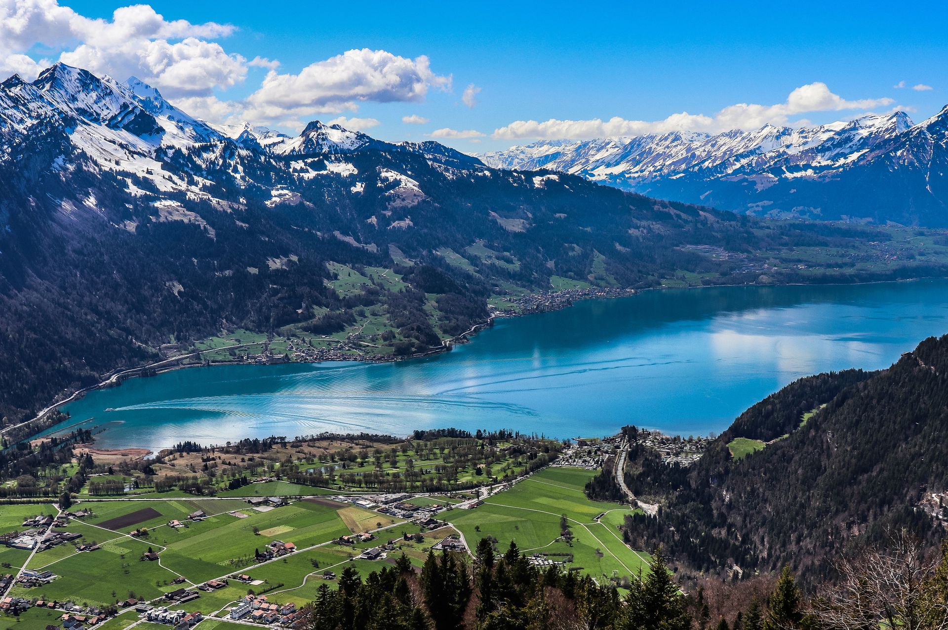 Blick auf den See im Sommer