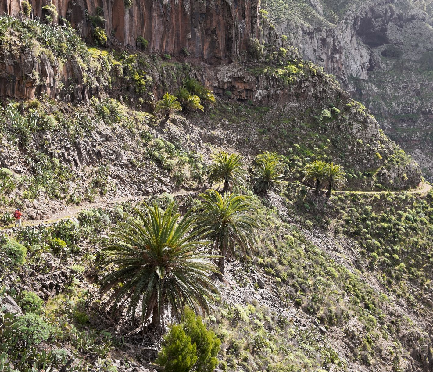 Wanderparadies La Gomera