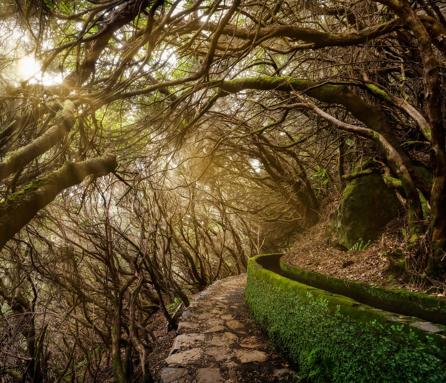 Natur der Insel Madeira